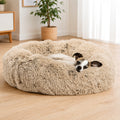 Cama Ergonómica para Perro
